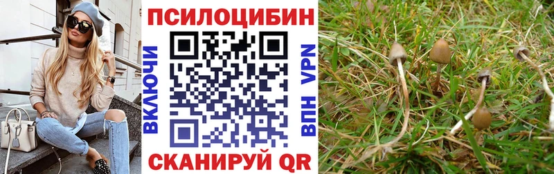 купить наркотик  Усмань  Псилоцибиновые грибы ЛСД 